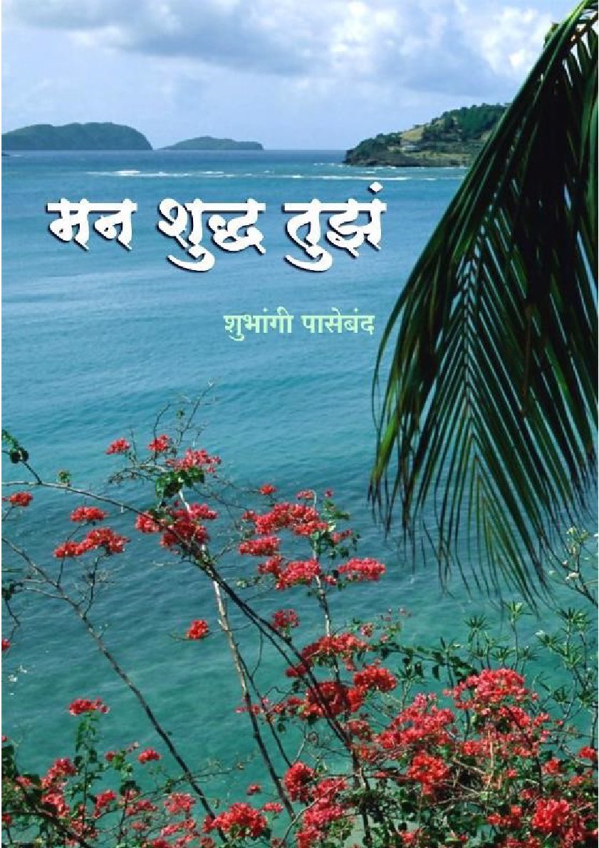 मन शुद्ध तुझं