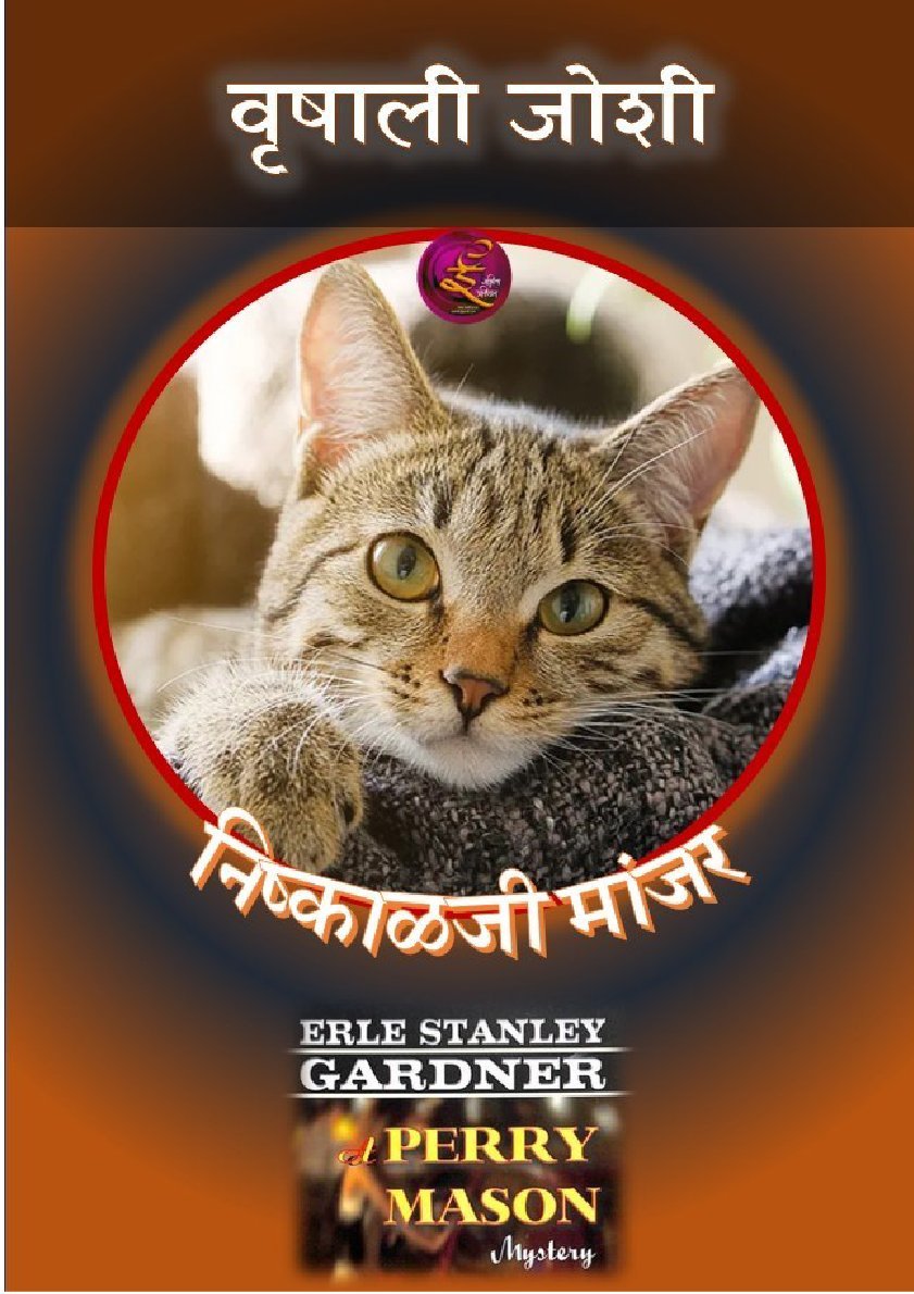 निष्काळजी मांजर